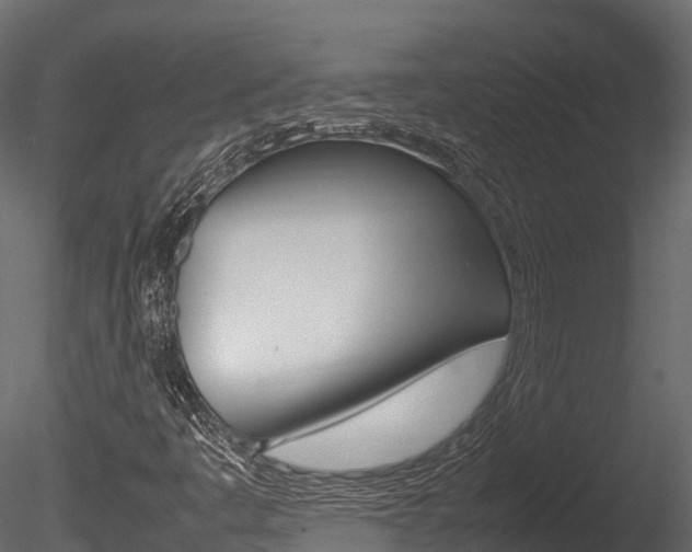 X0000085731445200703160824