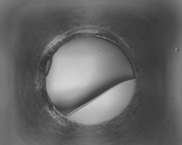 X0000085731448200703160824