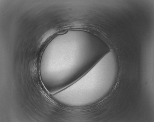 X0000085731450200703160824