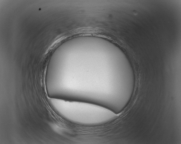 X0000085731451200703160824