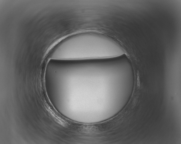 X0000085731452200703160824