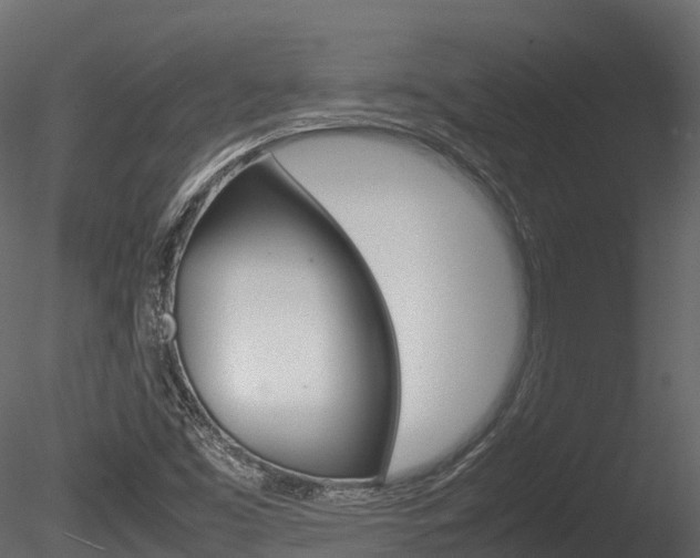 X0000085731453200703160824