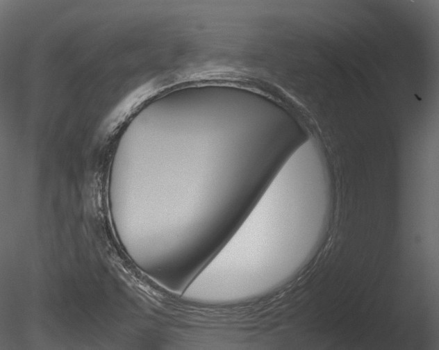 X0000085731455200703160824