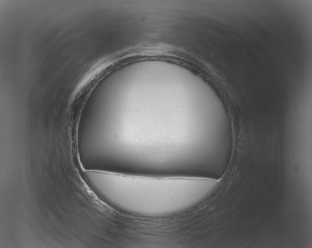 X0000085731456200703160824