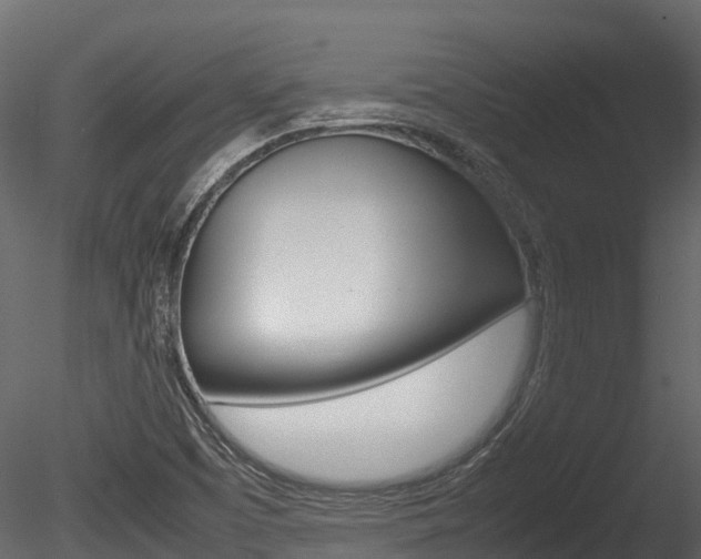 X0000085731457200703160824