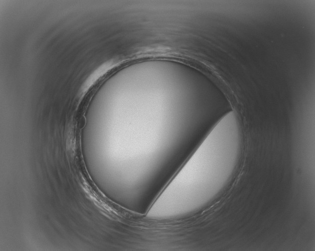 X0000085731458200703160824