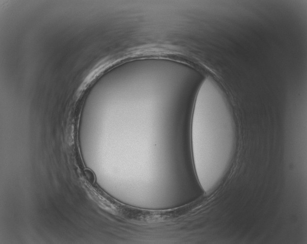 X0000085731459200703160824