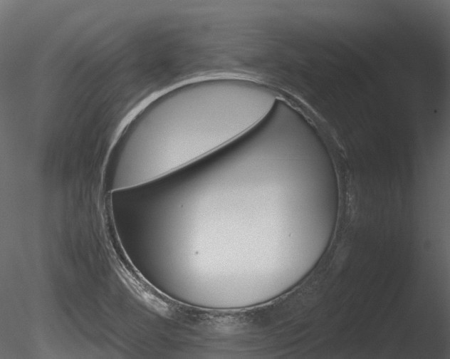 X0000085731460200703160824