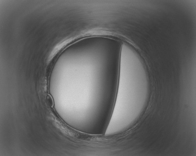 X0000085731461200703160824