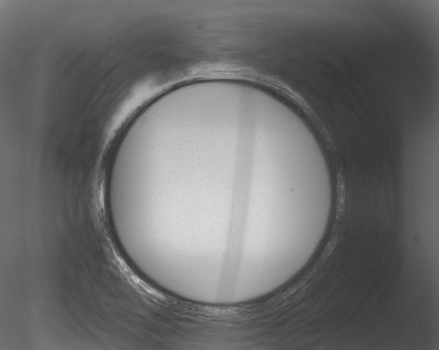 X0000085731462200703160824