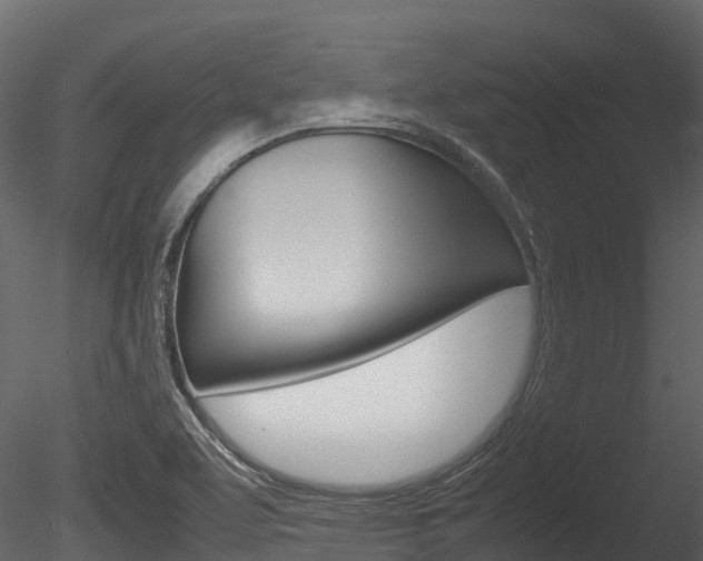 X0000085731463200703160824