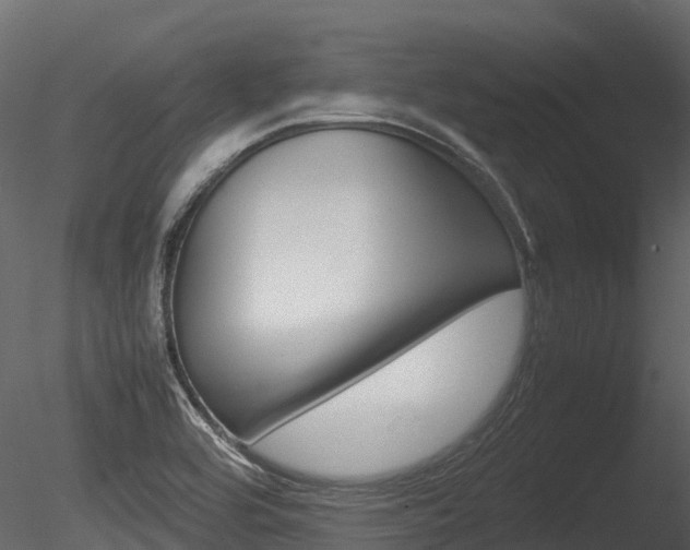 X0000085731464200703160823
