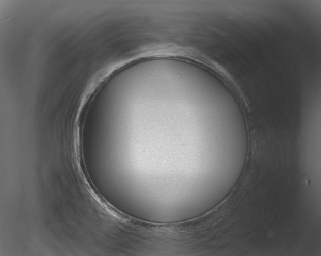 X0000085731472200703160823