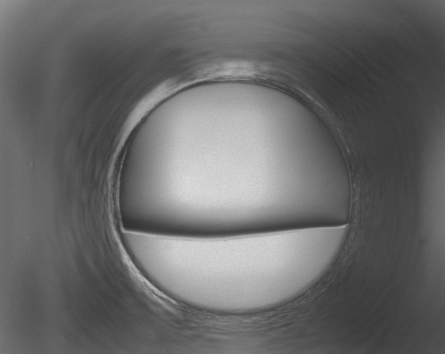 X0000085731475200703160823