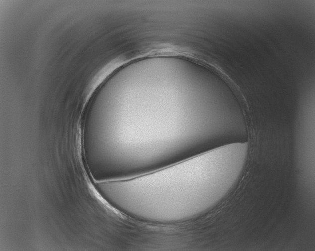 X0000085731476200703160823