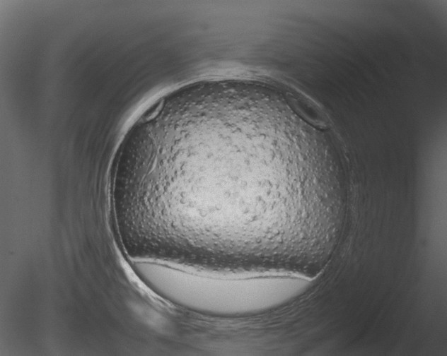 X0000085731479200703160823