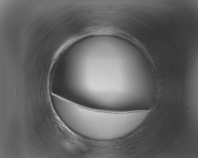 X0000085731480200703160823