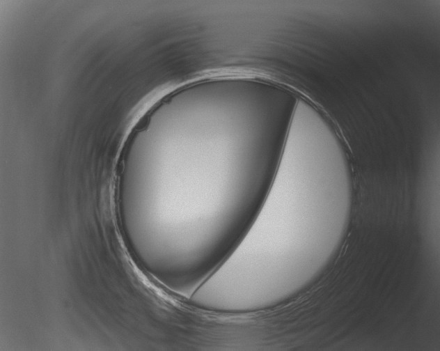 X0000085731484200703160823