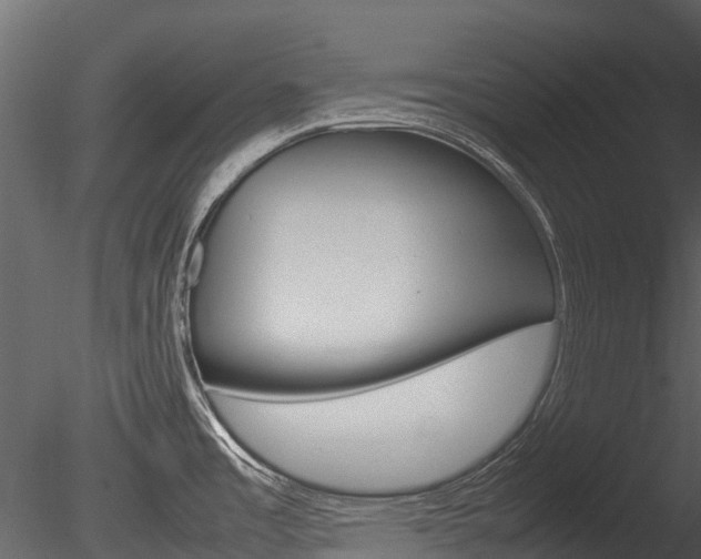 X0000085731485200703160823