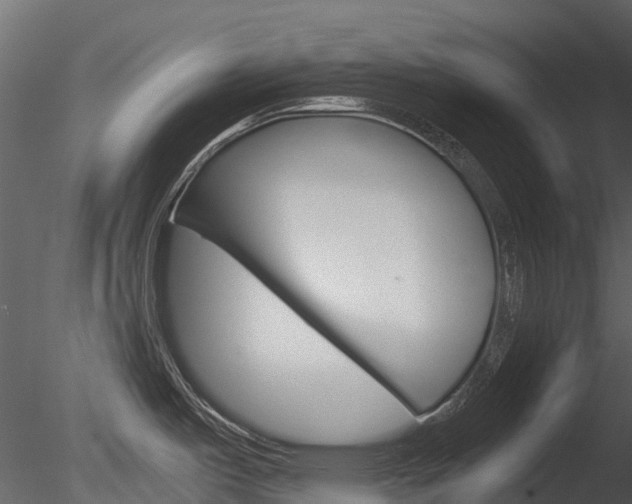 X0000085731487200703160823