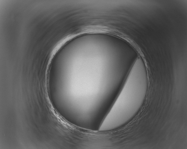 X0000085731488200703160823