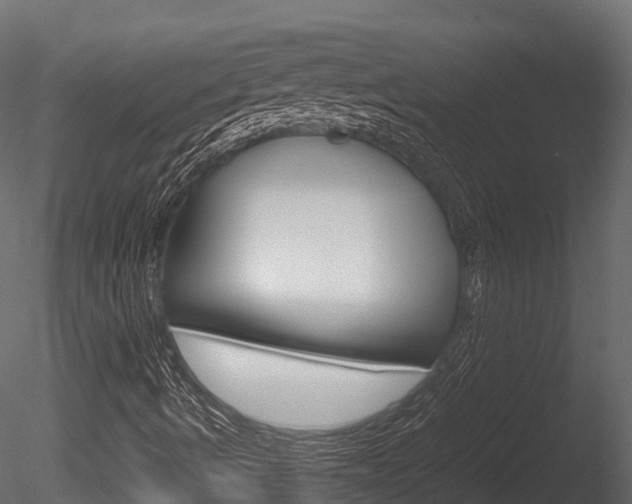X0000085731490200703160822