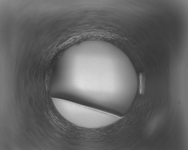 X0000085731491200703160822