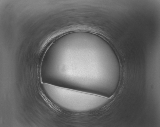 X0000085731499200703160822