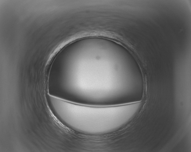 X0000085731500200703160822