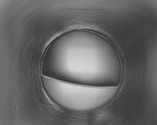 X0000085731513200703160823