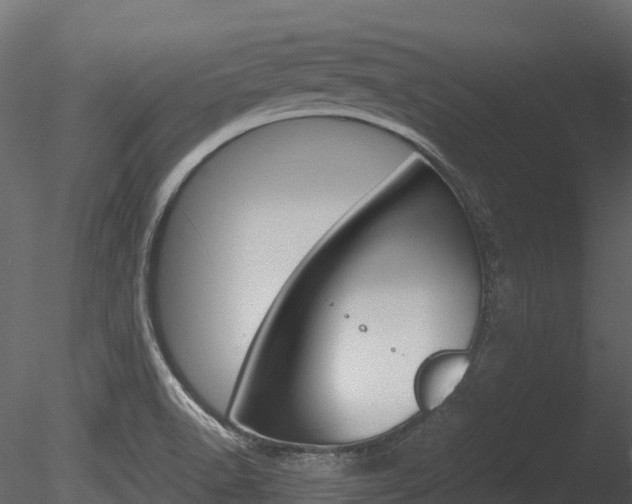 X0000085731518200703160823