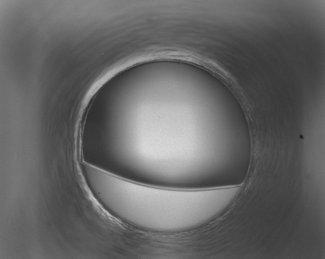 X0000085731520200703160823