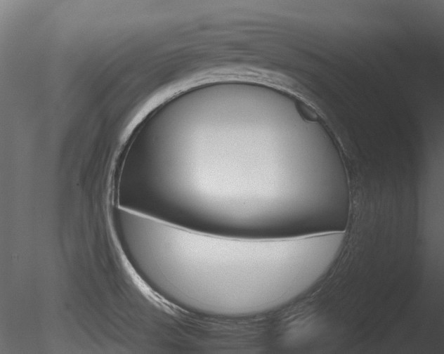 X0000085731523200703160823