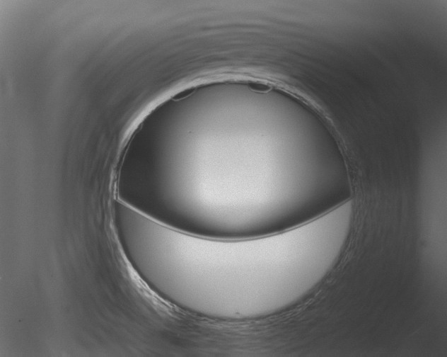 X0000085731524200703160823