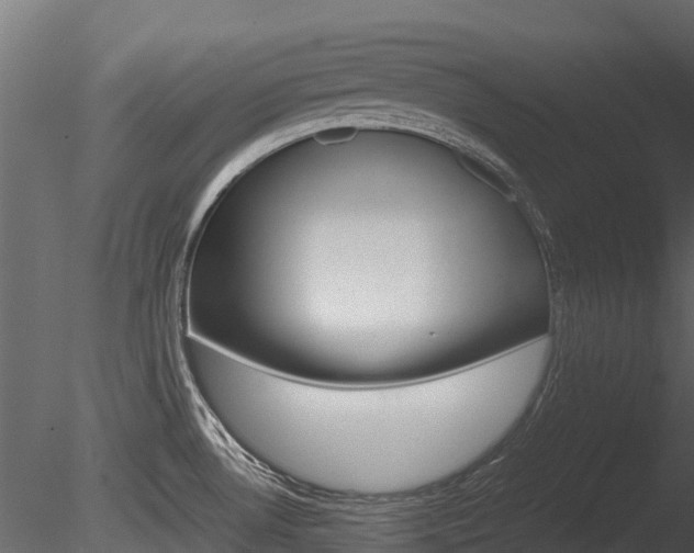 X0000085731530200703160823