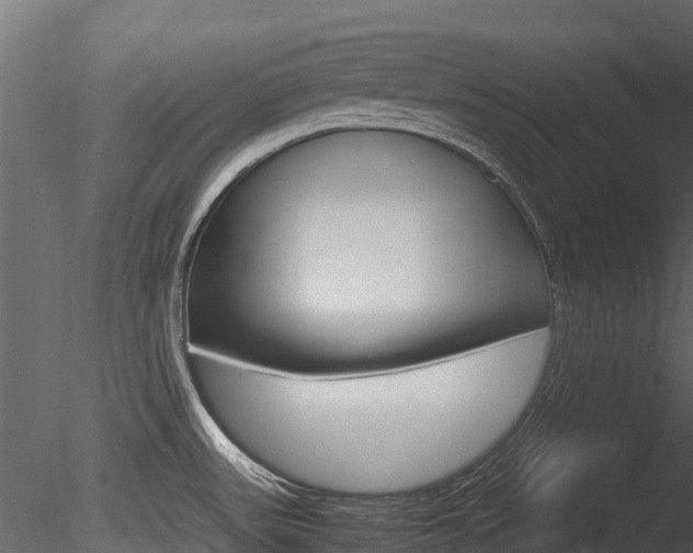 X0000085731531200703160823