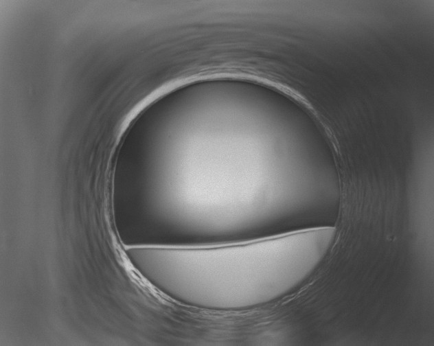 X0000085731534200703160823