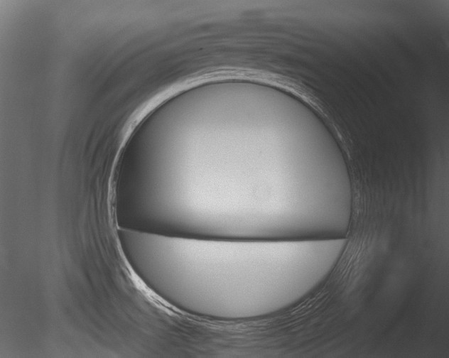 X0000085731535200703160823