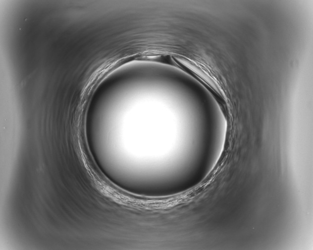 X0000085730001200703161016