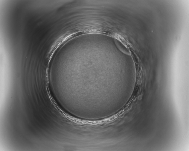 X0000085730002200703161016