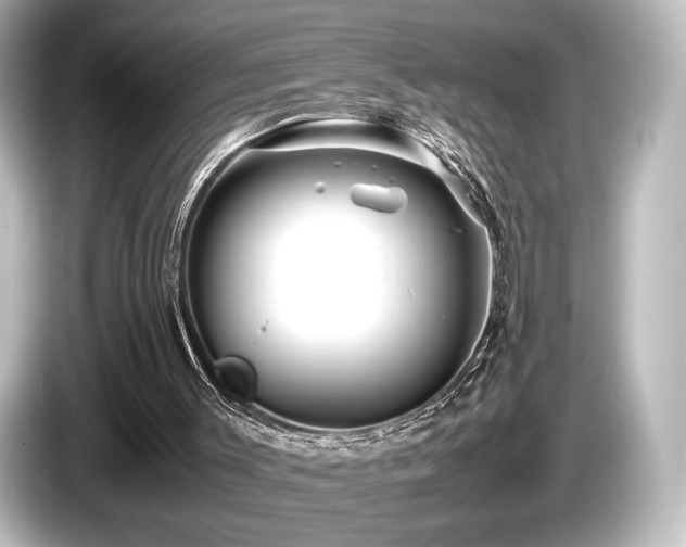 X0000085730003200703161016