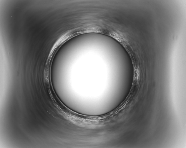 X0000085730004200703161016