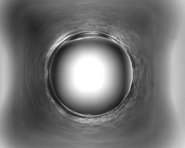 X0000085730005200703161016