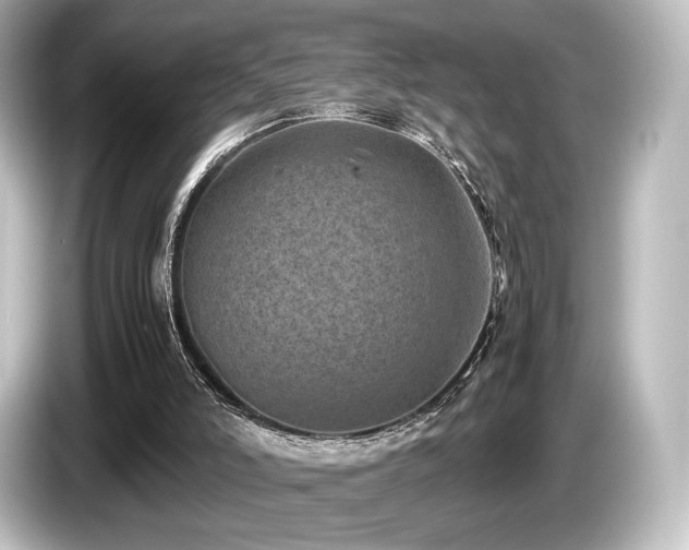 X0000085730006200703161016