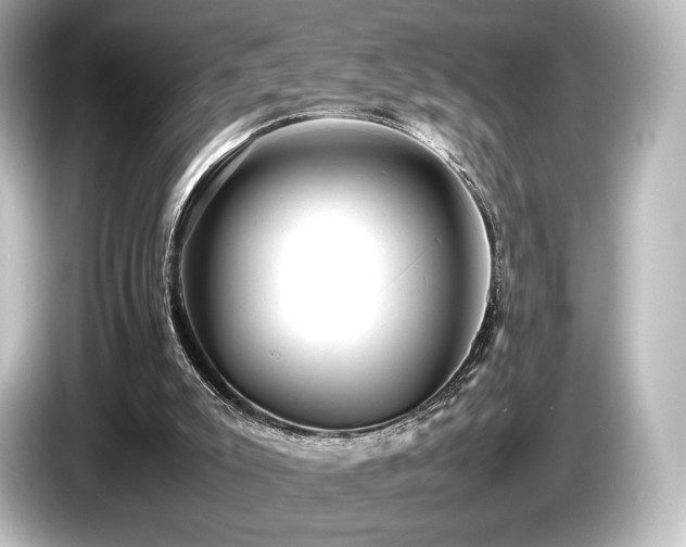 X0000085730007200703161016