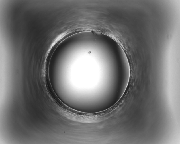 X0000085730008200703161016