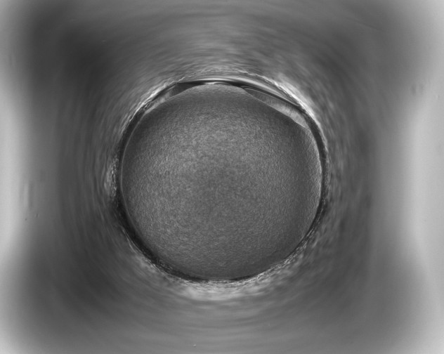 X0000085730009200703161016