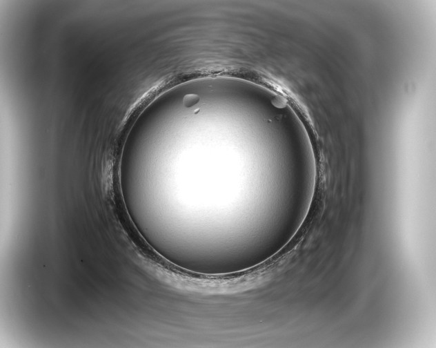 X0000085730010200703161016