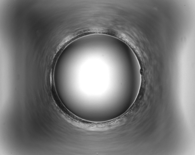 X0000085730011200703161016