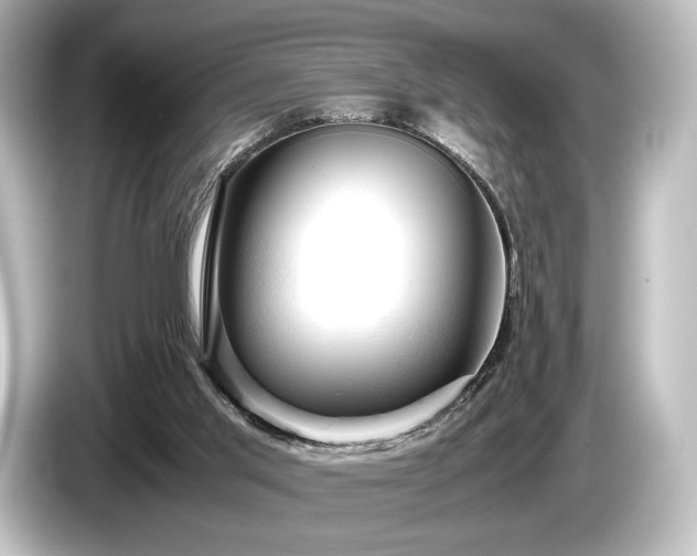 X0000085730013200703161015